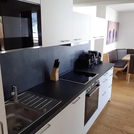 In Pinzgau Near Slopes Appartement